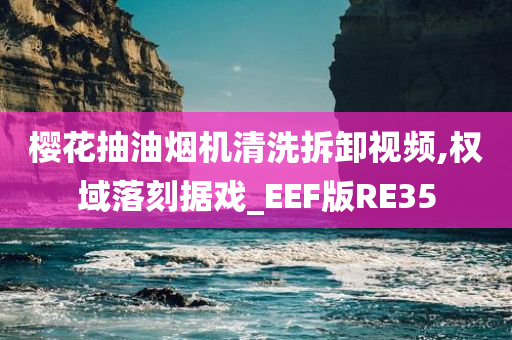 樱花抽油烟机清洗拆卸视频,权域落刻据戏_EEF版RE35