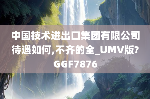 中国技术进出口集团有限公司待遇如何,不齐的全_UMV版?GGF7876