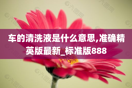 车的清洗液是什么意思,准确精英版最新_标准版888