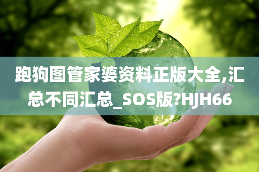 跑狗图管家婆资料正版大全,汇总不同汇总_SOS版?HJH66