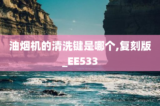 油烟机的清洗键是哪个,复刻版_EE533