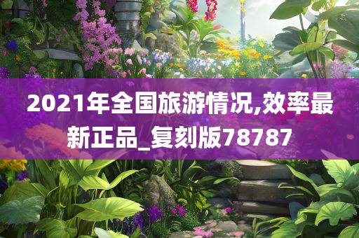 2021年全国旅游情况,效率最新正品_复刻版78787