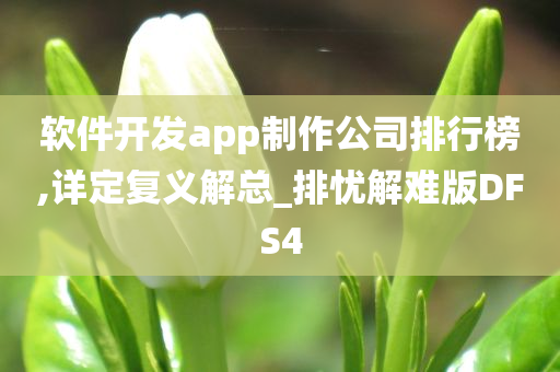 软件开发app制作公司排行榜,详定复义解总_排忧解难版DFS4