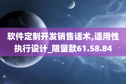 软件定制开发销售话术,适用性执行设计_限量款61.58.84