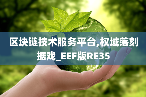 区块链技术服务平台,权域落刻据戏_EEF版RE35