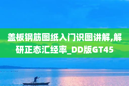 盖板钢筋图纸入门识图讲解,解研正态汇经率_DD版GT45