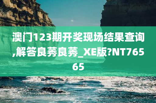 澳门123期开奖现场结果查询,解答良莠良莠_XE版?NT76565