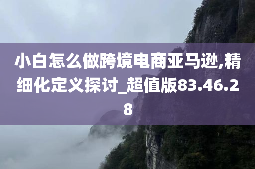 小白怎么做跨境电商亚马逊,精细化定义探讨_超值版83.46.28