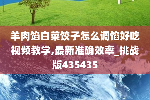 羊肉馅白菜饺子怎么调馅好吃视频教学,最新准确效率_挑战版435435