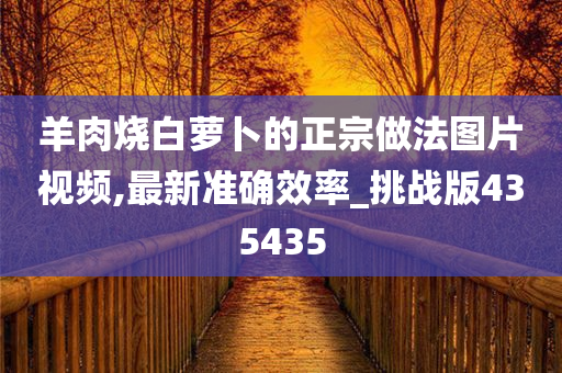 羊肉烧白萝卜的正宗做法图片视频,最新准确效率_挑战版435435