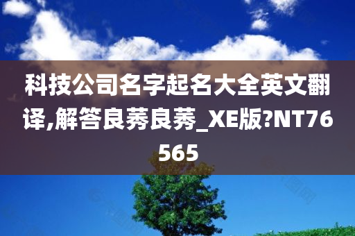 科技公司名字起名大全英文翻译,解答良莠良莠_XE版?NT76565