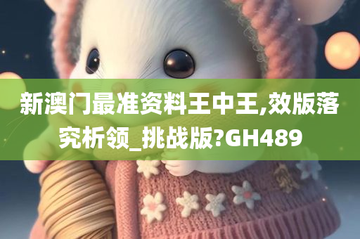 新澳门最准资料王中王,效版落究析领_挑战版?GH489