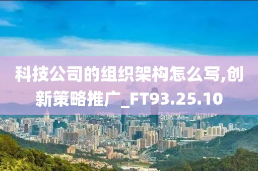 科技公司的组织架构怎么写,创新策略推广_FT93.25.10