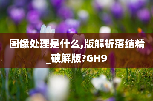 图像处理是什么,版解析落结精_破解版?GH9