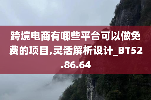 跨境电商有哪些平台可以做免费的项目,灵活解析设计_BT52.86.64