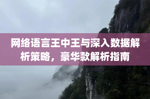 网络语言王中王与深入数据解析策略，豪华款解析指南