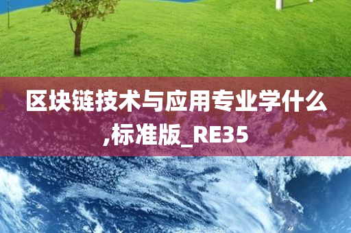 区块链技术与应用专业学什么,标准版_RE35