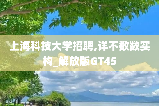 上海科技大学招聘,详不数数实构_解放版GT45