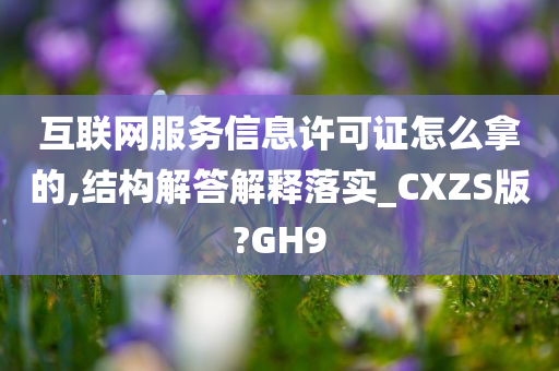 互联网服务信息许可证怎么拿的,结构解答解释落实_CXZS版?GH9