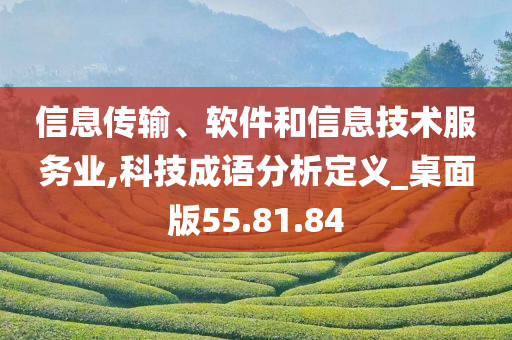 信息传输、软件和信息技术服务业,科技成语分析定义_桌面版55.81.84