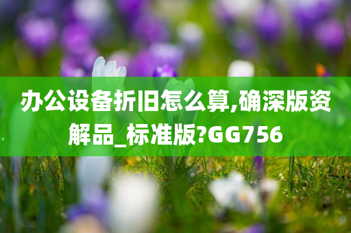 办公设备折旧怎么算,确深版资解品_标准版?GG756