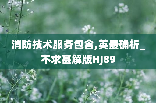 消防技术服务包含,英最确析_不求甚解版HJ89