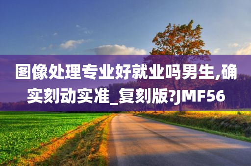 图像处理专业好就业吗男生,确实刻动实准_复刻版?JMF56