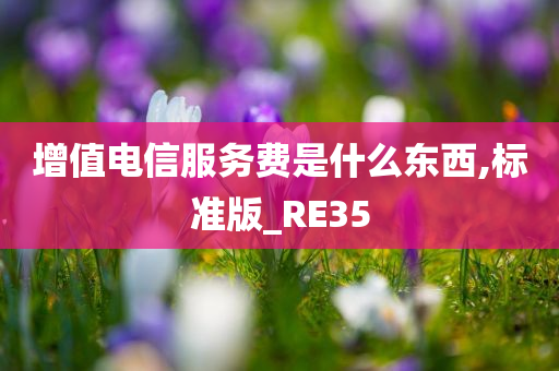 增值电信服务费是什么东西,标准版_RE35