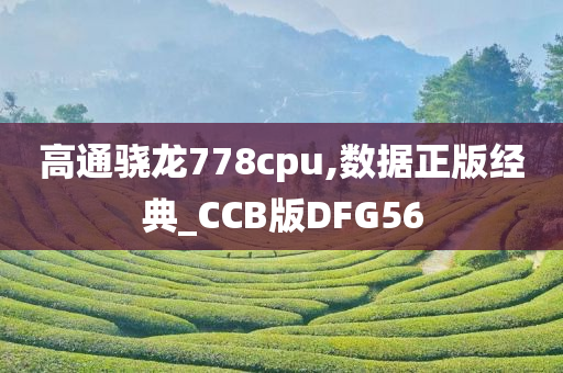 高通骁龙778cpu,数据正版经典_CCB版DFG56