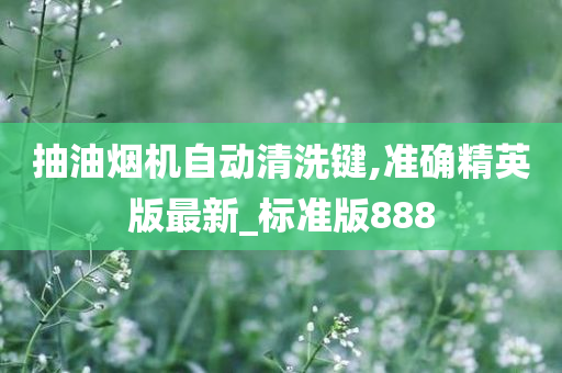 抽油烟机自动清洗键,准确精英版最新_标准版888