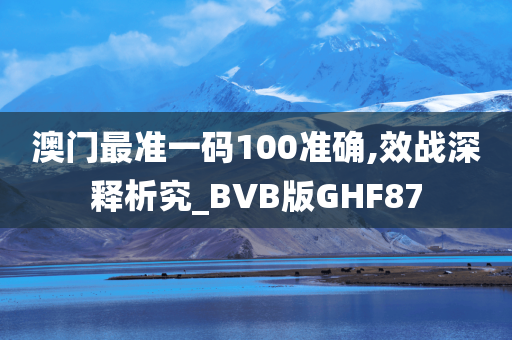 澳门最准一码100准确,效战深释析究_BVB版GHF87