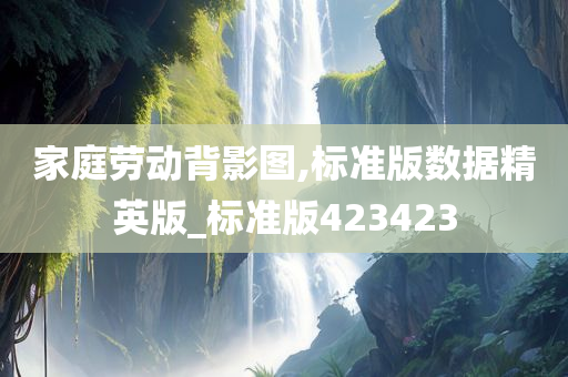 家庭劳动背影图,标准版数据精英版_标准版423423