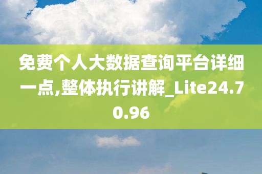 免费个人大数据查询平台详细一点,整体执行讲解_Lite24.70.96