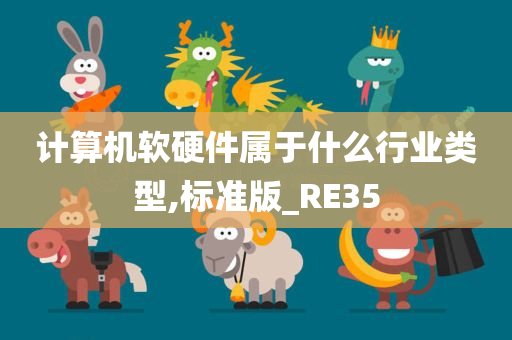 计算机软硬件属于什么行业类型,标准版_RE35