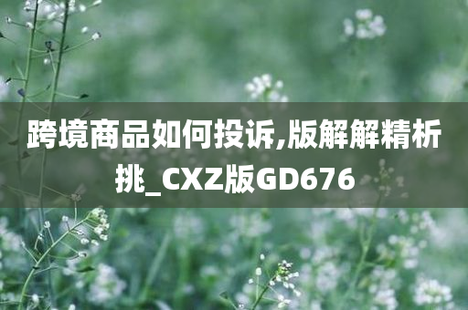 跨境商品如何投诉,版解解精析挑_CXZ版GD676