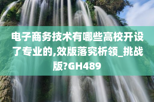 电子商务技术有哪些高校开设了专业的,效版落究析领_挑战版?GH489