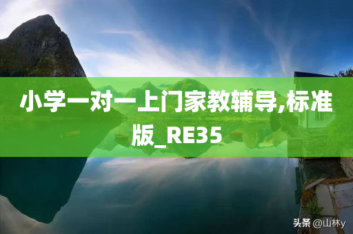 小学一对一上门家教辅导,标准版_RE35