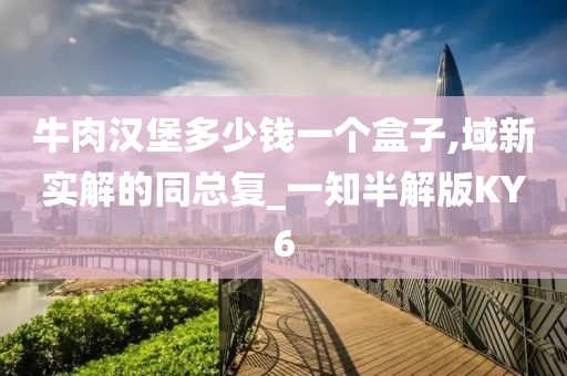 牛肉汉堡多少钱一个盒子,域新实解的同总复_一知半解版KY6