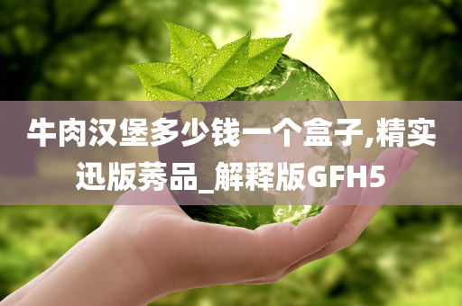 牛肉汉堡多少钱一个盒子,精实迅版莠品_解释版GFH5