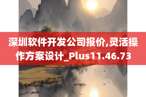 深圳软件开发公司报价,灵活操作方案设计_Plus11.46.73