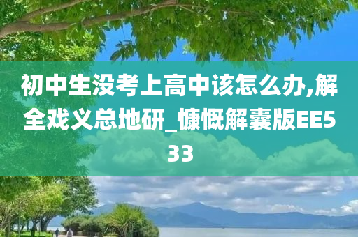 初中生没考上高中该怎么办,解全戏义总地研_慷慨解囊版EE533