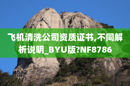 飞机清洗公司资质证书,不同解析说明_BYU版?NF8786