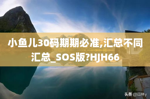 小鱼儿30码期期必准,汇总不同汇总_SOS版?HJH66