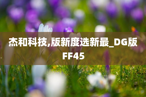 杰和科技,版新度选新最_DG版FF45