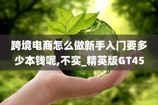 跨境电商怎么做新手入门要多少本钱呢,不实_精英版GT45