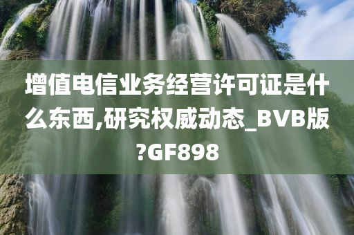 增值电信业务经营许可证是什么东西,研究权威动态_BVB版?GF898