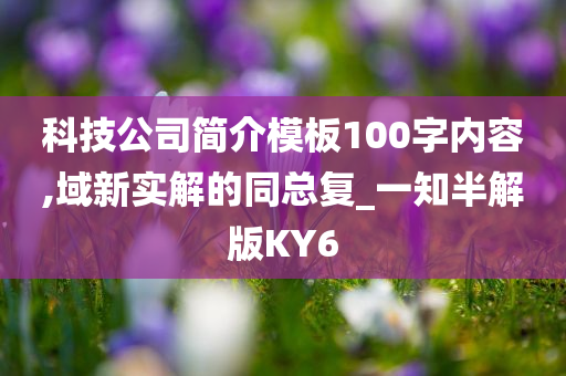 科技公司简介模板100字内容,域新实解的同总复_一知半解版KY6