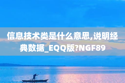 信息技术类是什么意思,说明经典数据_EQQ版?NGF89