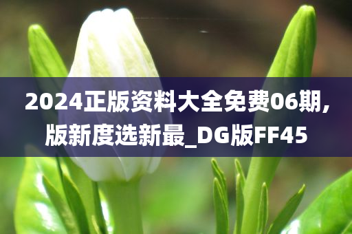 2024正版资料大全免费06期,版新度选新最_DG版FF45