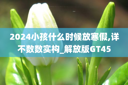 2024小孩什么时候放寒假,详不数数实构_解放版GT45